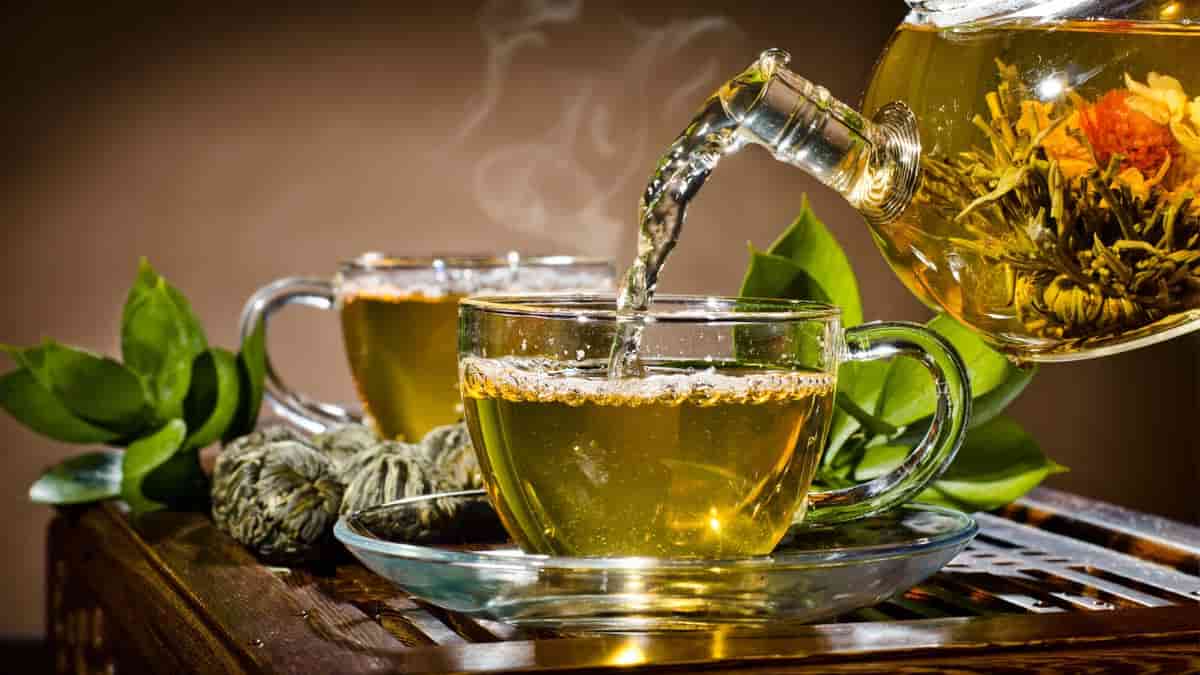 تصویر 3 از قیمت و خرید چای سبز و فروش صادراتی